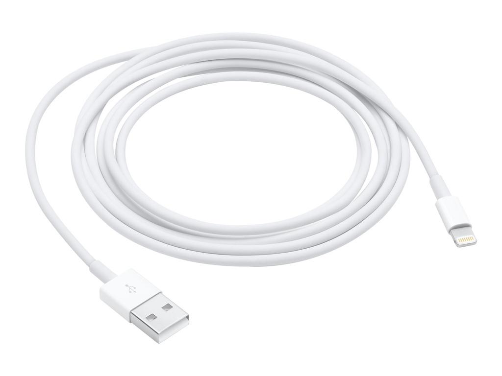 Apple Câble Lightning - Lightning (2M) pour USB