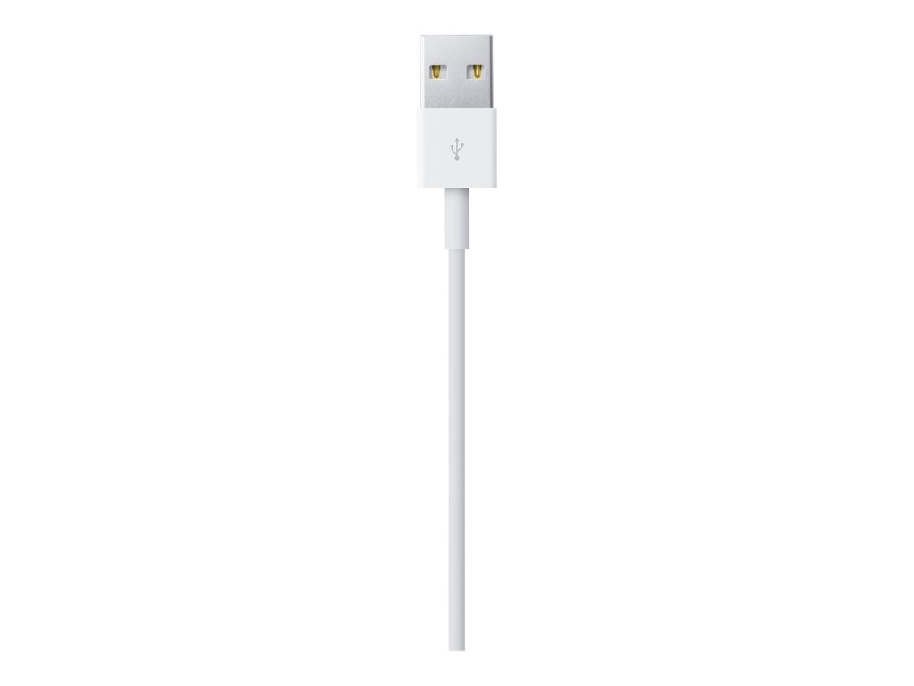 Apple Câble Lightning - Lightning mâle pour USB mâle