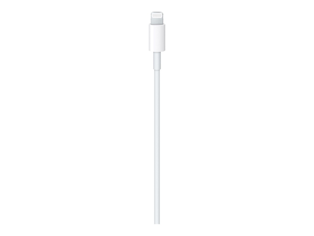Apple Câble Lightning - USB-C - 2M - mâle pour Lightning mâle