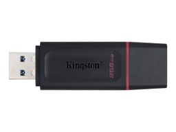 [DTX/256GB] Kingston Clé USB 256